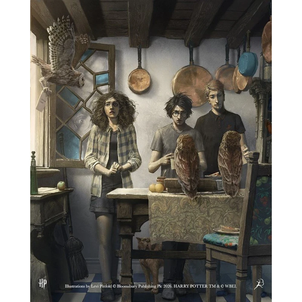 Harry Potter a Princ dvojí krve (ilustrovaná)