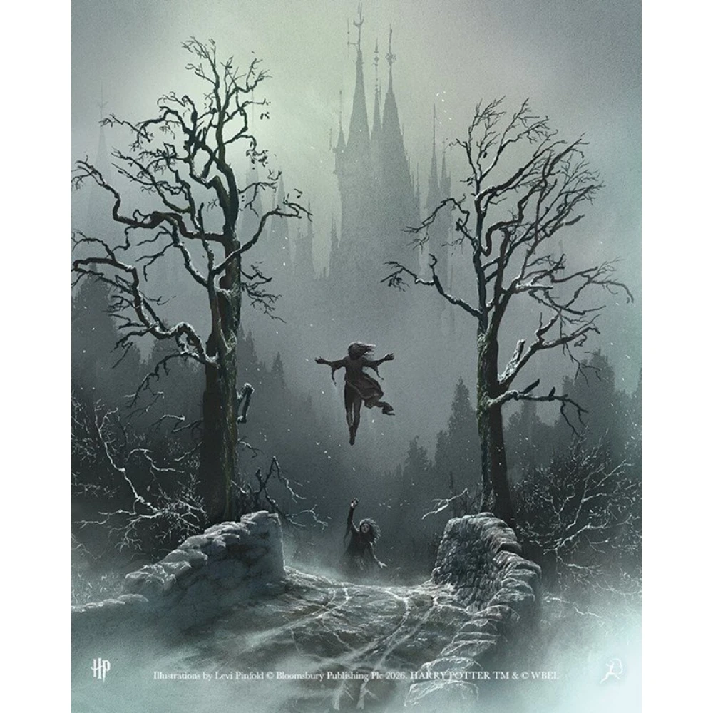 Harry Potter a Princ dvojí krve (ilustrovaná)