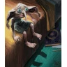 Harry Potter a Tajemná komnata (ilustrovaná)