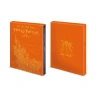 Harry Potter und der Feuerkelch (Box)