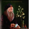 Harry Potter: Cesta dějinami čar a kouzel