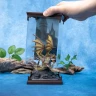 Harry Potter Magical Creatures - soška maďarského draka s tŕňovým chvostom