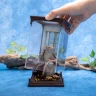 Harry Potter Magical Creatures - Krätze Figur