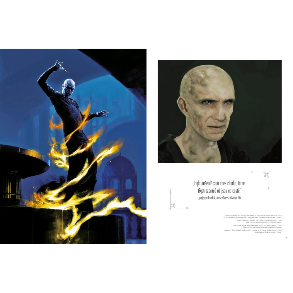 Harry Potter: Velká kniha o kouzelných filmech