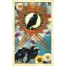Havraní tarot