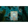 Hracie karty Atlantis by ARK