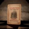 Hrací karty The Elder Scrolls V: Skyrim