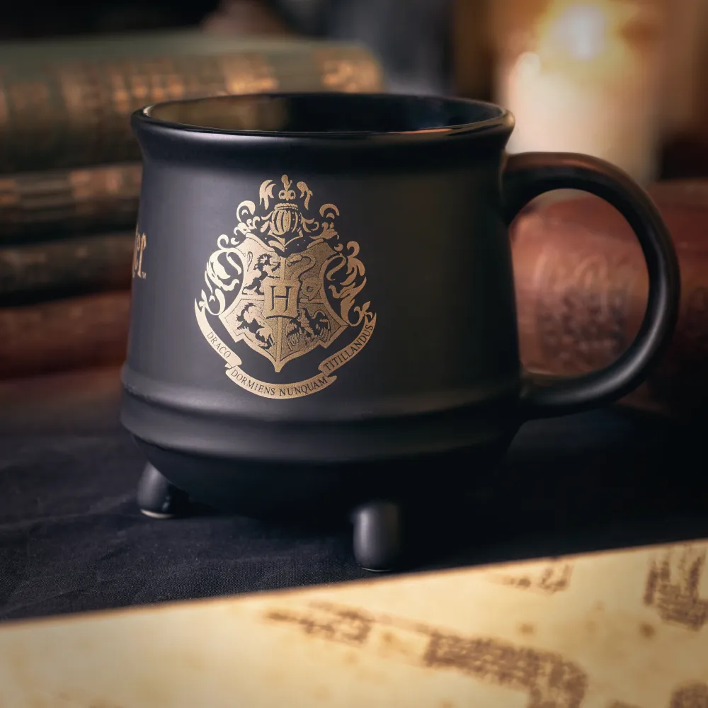 Harry Potter Tasse - 3D Kessel