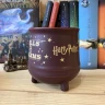 Harry Potter Mug - Cauldron: Spells and Charms