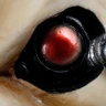 Warhammer 40000 Mug: Servo Skull