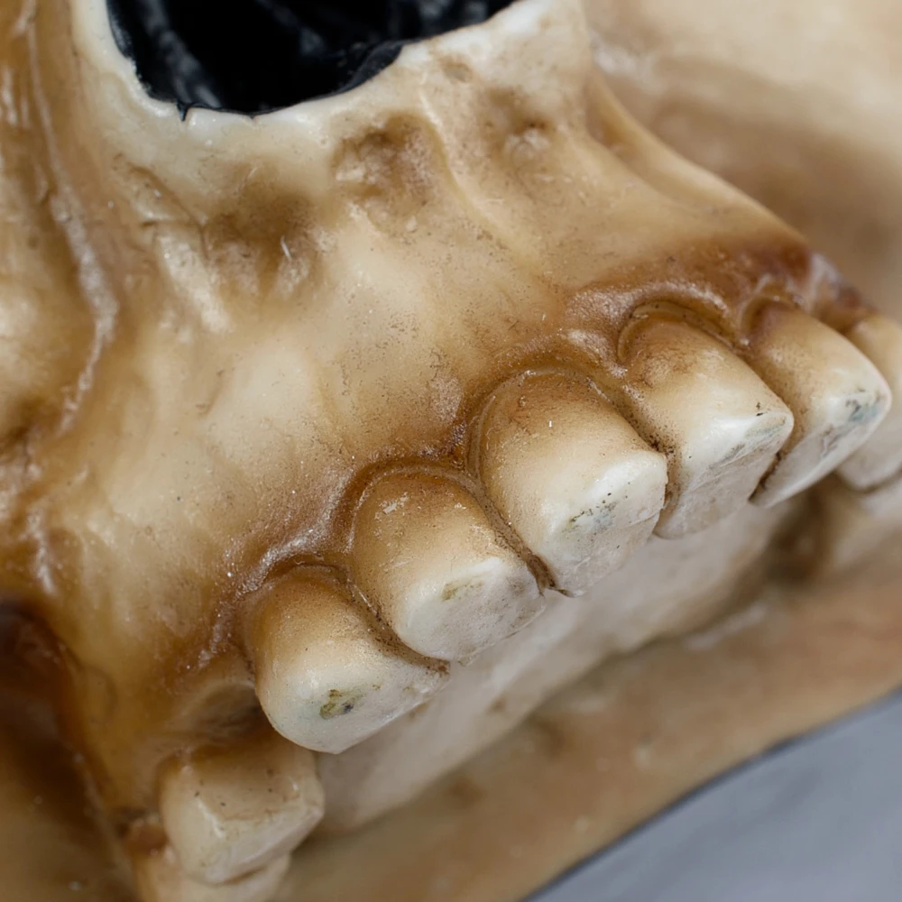 Warhammer 40000 Mug: Servo Skull