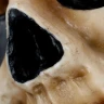 Warhammer 40000 Mug: Servo Skull