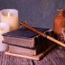 Gilderoy Lockhart's Wand with Ollivander's Box