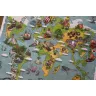 Imperial Settlers: Empires of the North