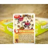 Imperial Settlers: Empires of the North - Egyptian Kings