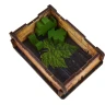 Game Organizer - Viticulture: Essential Edition (UV Print)