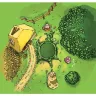 Tales & Games: Jack and the Beanstalk