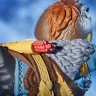 TUBBZ God of War Ragnarök Duck - Atreus (First Edition)
