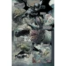 Kapesní komiksové klenoty: Batman - Soví sága