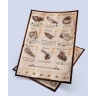 Cartographers: Map Pack 6 - Gorge: Wasteland Market