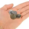 Griffin Button