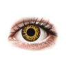 Contact Lenses - Cheetah - non-prescription daily (2 lenses)