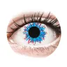 Contact Lenses - Harlequin - non-prescription daily (2 lenses)