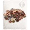 Metal Coins (5 pcs)