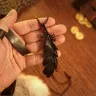 Leather Raven Feather Pendant