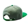 Harry Potter Cap - Slytherin, grey-green