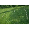 Kubb Family