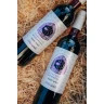 Kubešova medovina - Frizzante, čierne ríbezle 0,75 l