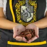 Harry Potter Kitchen Apron - Hufflepuff