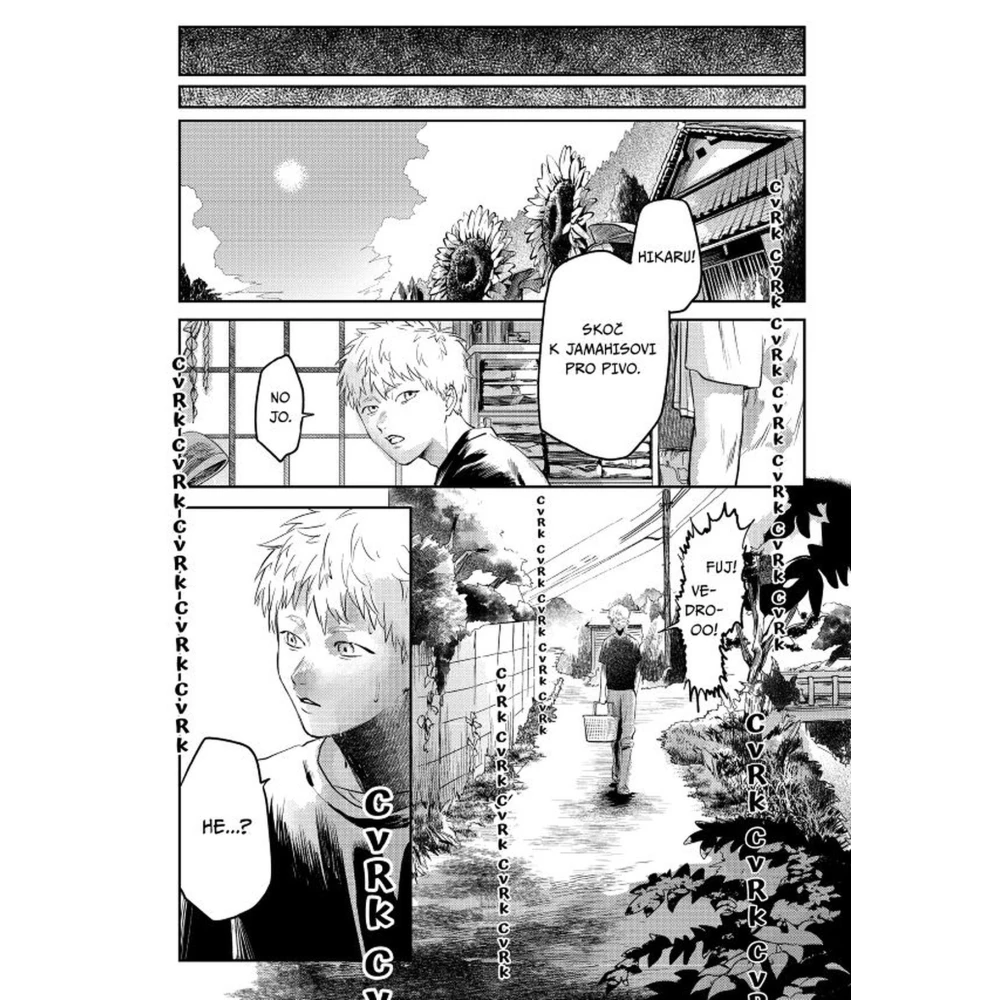 Léto, kdy umřel Hikaru 2