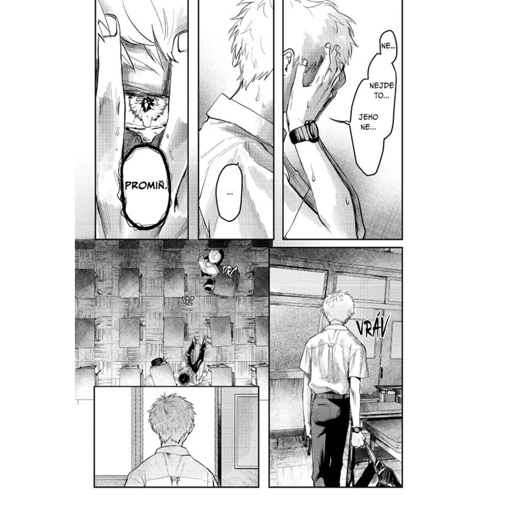 Léto, kdy umřel Hikaru 2