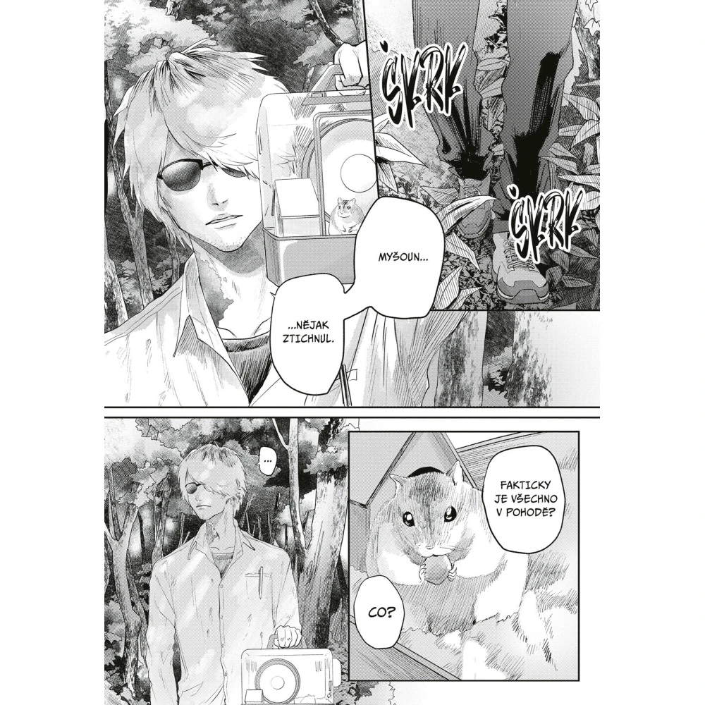 Léto, kdy umřel Hikaru 3