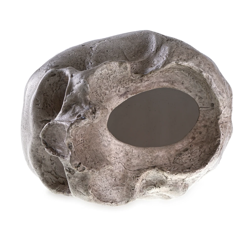 Human Skull - Replica
