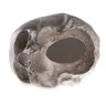Human Skull - Replica