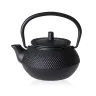 Kuang Cast Iron Teapot 0.3l