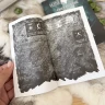 Lone Wolf: Oheň na vodě (Definitivní edice)