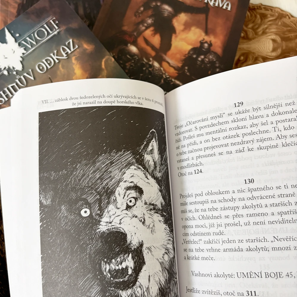 Lone Wolf: Vashnův odkaz