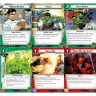 Marvel Champions: Hulk