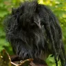 Orc Slayer Mask with Dreads