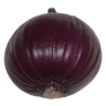 Gepolsterte rote Zwiebel