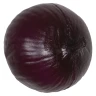 Gepolsterte rote Zwiebel