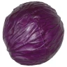 Gepolsterter Rotkohl