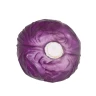 Gepolsterter Rotkohl