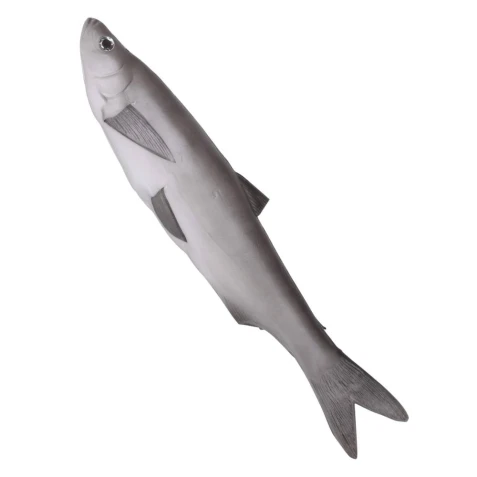 Mäkčený Sleď