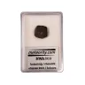 NWA 869 Meteorite - Chondrite