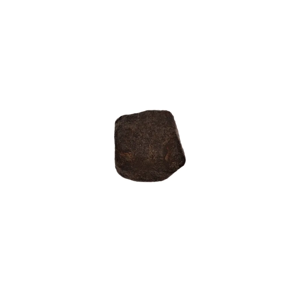 NWA 869 Meteorite - Chondrite
